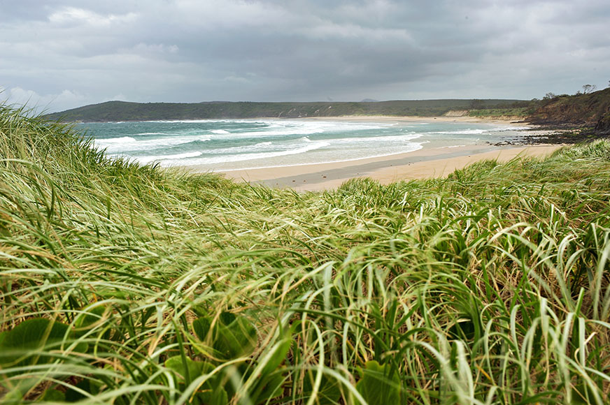 grassy field sea in background edited grassy field sea in background edited