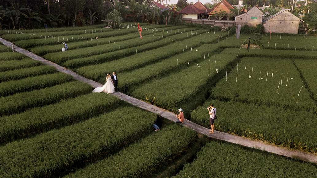 bride-groom-in-field bride-groom-in-field