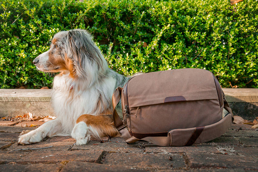 Camera Sling by Clever Supply Co. - Jasper Approved.