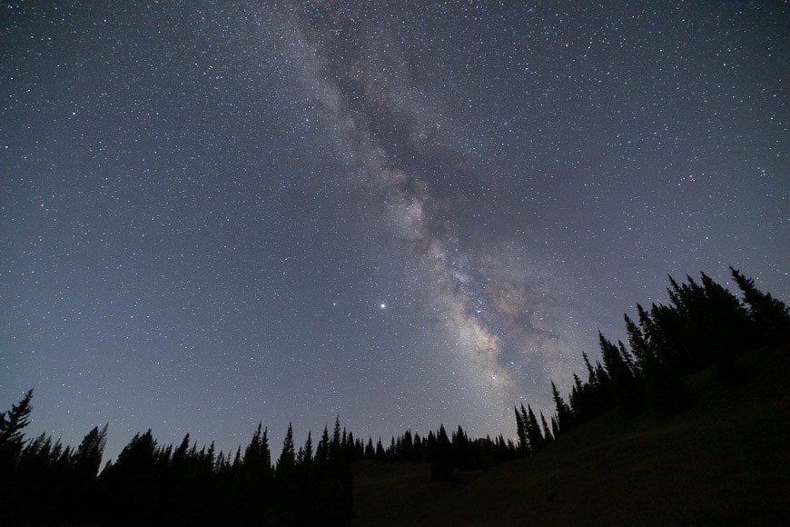 Astrophotography night shot of stars with silhouetted trees