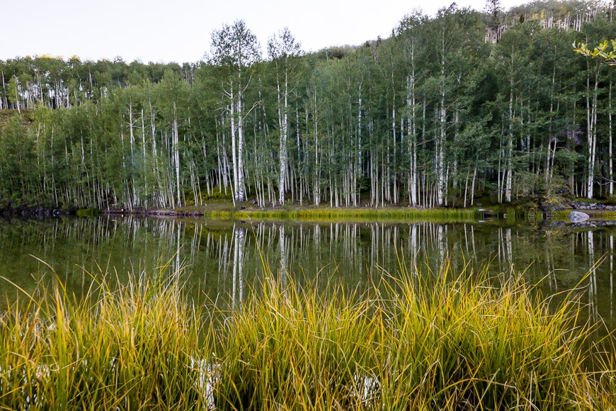 Lake with trees Canon R5 + Canon 15-35mm f/2.8 L