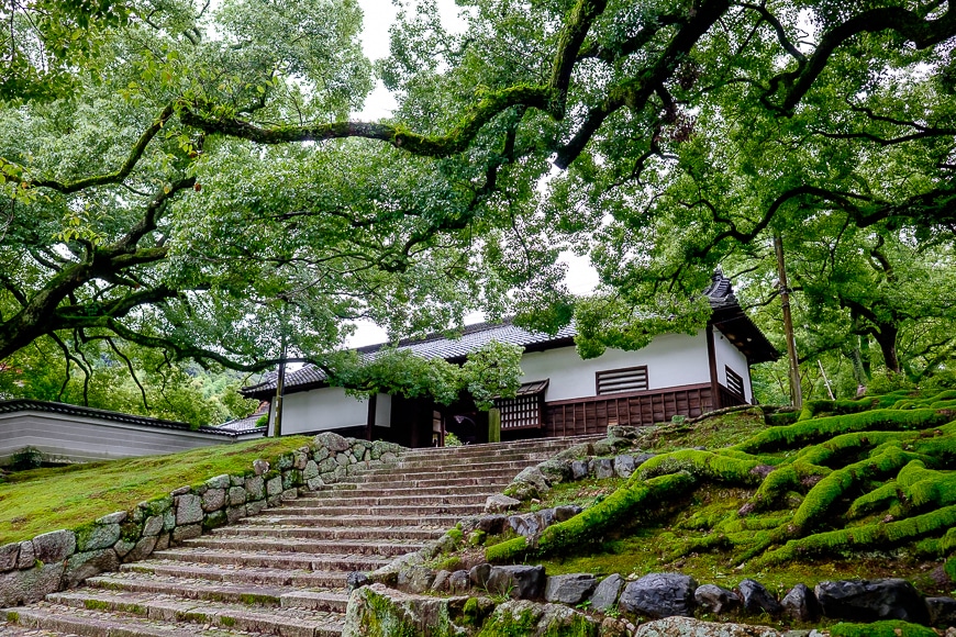 Beautiful trees surrounding stairs leading to a Japanese building