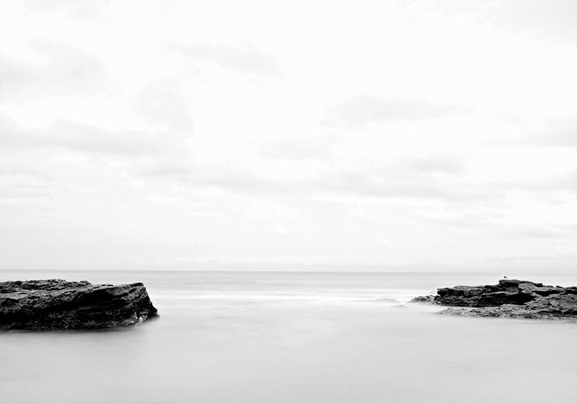 Dueling Pincers-580w Radiant Photo Shoreline Photo