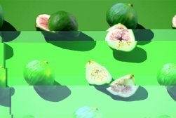 glitch-art
