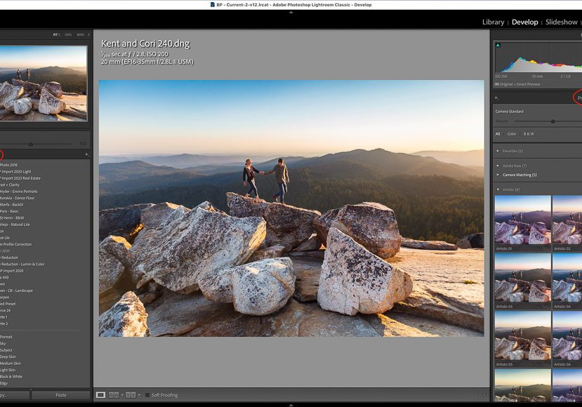 how-to-use-lightroom-profiles-04 how-to-use-lightroom-profiles-04