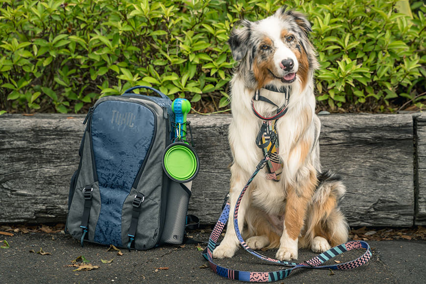 Great backpack for an easy day out, or a hard day out - Either way the Valkyrie is up to the challenge.