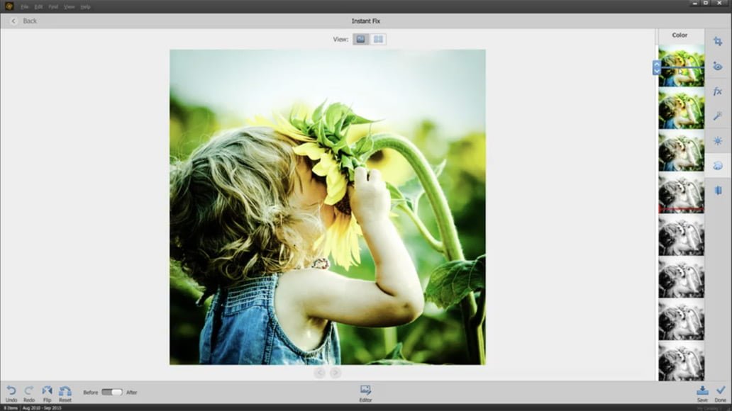 lightroom vs photoshop elements