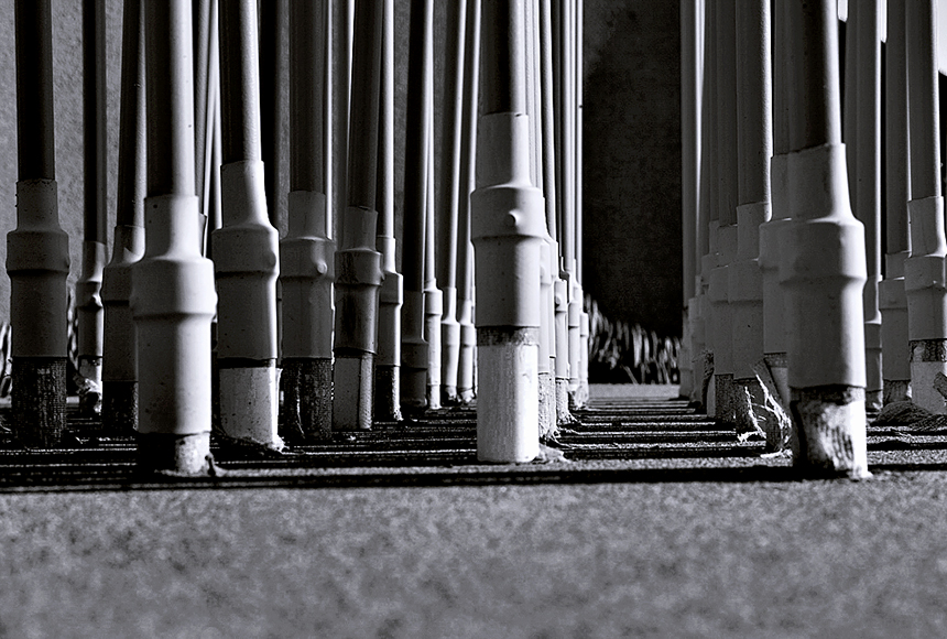 Slithering Lines black & white photo with contrast