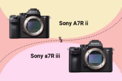 Sony a7RII vs A7RIII